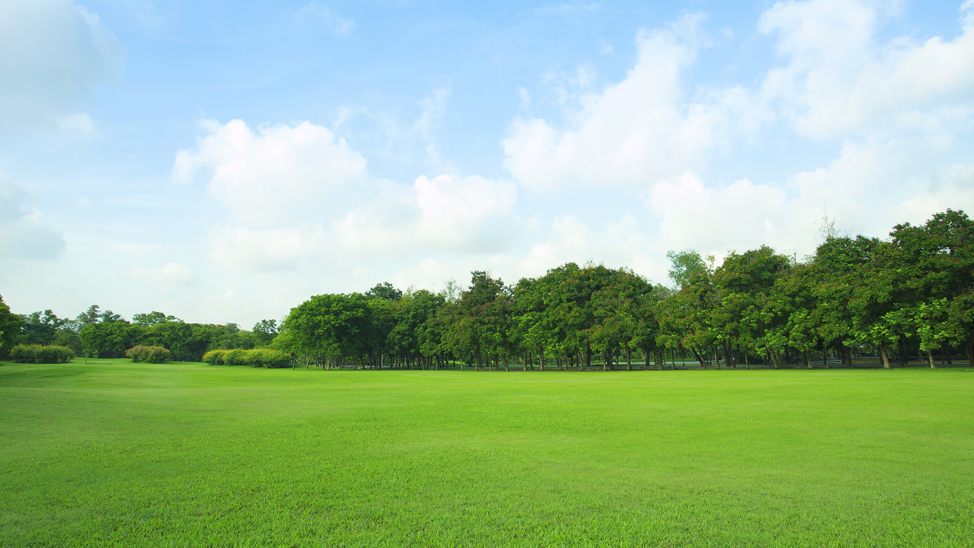 ENERGY STAR certified logo